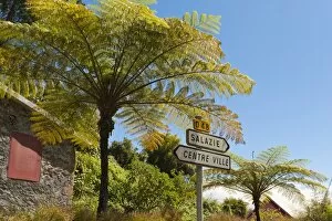 Images Dated 29th September 2012: Tree ferns -Cyatheales- and direction signs, Hell-Bourg, Salazie, La Reunion, Reunion, France