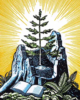 Tree of Knowledge