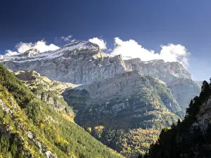 Tree of leaf expires in autumn in a valley with rocky covered with snow mountains with a blue sky