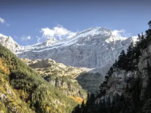 Crag Prints: Tree of leaf expires in autumn in a valley with rocky covered with snow mountains with a blue sky