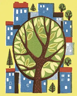 Tree in the Middle of a City