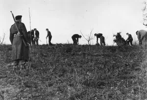 Punishment Prints: Tree Planting