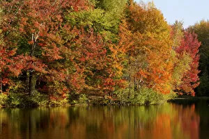 Images Dated 7th October 2011: Trees in autumnal colours reflected in lake, Iron Hill, Quebec, Canada