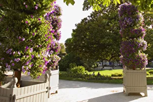 Aquitaine Gallery: Trees in a garden, Bordeaux, Aquitaine, France