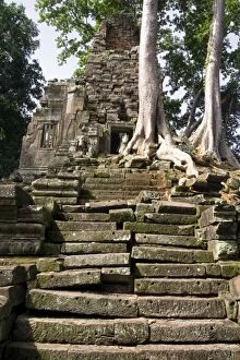 Images Dated 17th July 2006: Trees growing from Angkor Thom