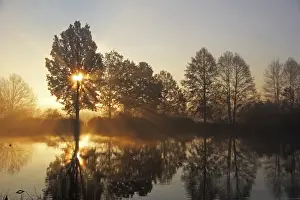 Southern German Prints: Trees on a pond at sunrise, early morning in November