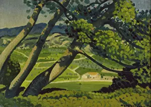 1910s Prints: Trees