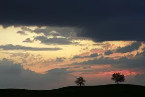 Trees silhouetted against a sky full of storm clouds, Hirzel, Canton of Zurich, Switzerland