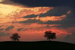 Trees silhouetted against a sky full of storm clouds, Hirzel, Canton of Zurich, Switzerland