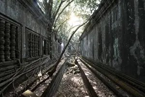 Art Museum Prints: Trees and Thick Brush Consuming the Remaining Walls and Windows at the Unrestored Beng Mealea Temple