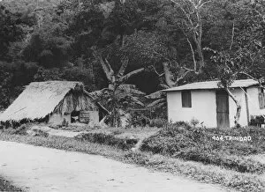 Images Dated 31st July 2009: Trinidad Homes