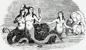 Myth Prints: Trio Of Mermaids With Hand Mirror
