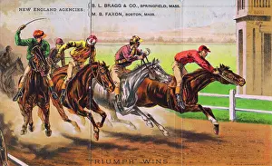 Race Prints: Full Triumph