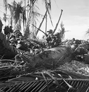 Advance Prints: Troops Advance Through Cocoanut Tree