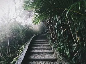 Alexander Spatari Prints: Tropical garden on Pao de Acucar (Sugar Loaf) mountain in Rio De Janeiro, Brazil