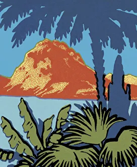 Ethnicity Gallery: Tropical Island