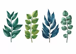 Drawing Collection: tropical leaf collection water paint on paper surface on white background