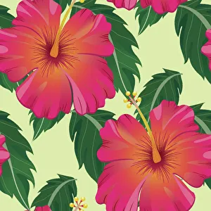 Images Dated 25th August 2019: Tropical Pattern With Leaves and Flowers - Vector Illustration