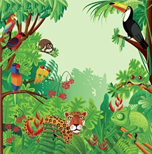 Images Dated 25th August 2019: Tropical rainforest
