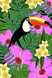 Images Dated 9th October 2018: tropical Toucan