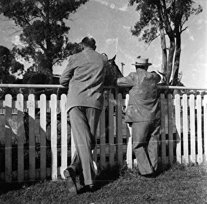 Rollei Prints: Trotting Race