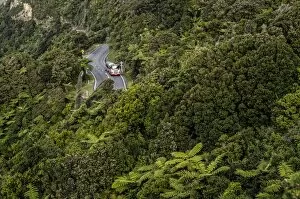 Truck on a country road in dense rain forest, Paparoa National Park, Punakaiki, South Island, New Zealand, Oceania