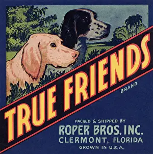 Florida Prints: True Friends