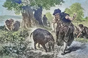 Restoration Prints: Truffle hunt with a truffle pig in Perigord