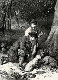Images Dated 30th October 2018: TRUFFLE HUNTING 1869