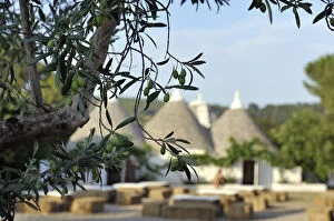 Images Dated 23rd August 2014: Trulli in countryside
