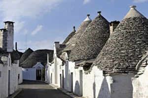 Images Dated 24th August 2014: Trulli limestone houses at Alberobello