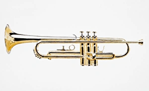 Images Dated 6th January 2007: Trumpet, side view