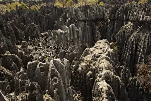 Images Dated 2nd October 2016: Tsingy de Bemaraha National Park. Unesco World Heritage in Madagascar