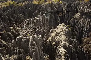 Tsingy de Bemaraha National Park. Unesco World Heritage in Madagascar