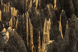 Karst Formation Prints: Tsingy de Bemaraha National Park. Unesco World Heritage in Madagascar
