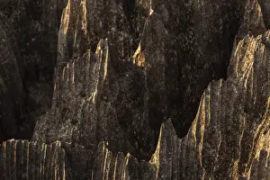 Tsingy de Bemaraha National Park. Unesco World Heritage in Madagascar