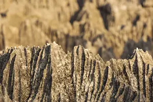 Tsingy de Bemaraha National Park. Unesco World Heritage in Madagascar