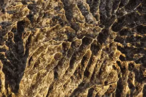 Karst Formation Prints: Tsingy de Bemaraha National Park. Unesco World Heritage in Madagascar