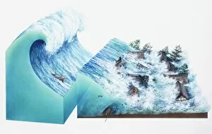Images Dated 16th June 2007: Tsunami, series of waves created by body of water, such as ocean, rapidly displaced on massive scale