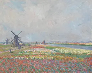 Prints of Tulip fields near The Hague. Found in the Collection of Van Gogh Museum, Amsterdam. (Photo by Fine Art Images/Heritage Images/Getty Images) Echoes of Genius: Timeless Reproductions of a Master’s Vision: Tulip Fields Near The Hague