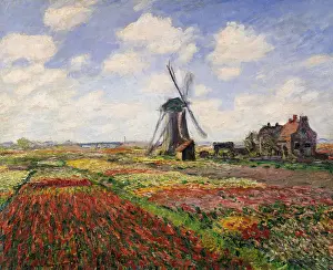 Tulip Fields with the Rijnsburg Windmill, 1886 (oil on canvas)