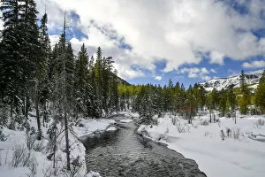 Images Dated 30th December 2016: Tumalo Creek in winter, Deschutes National Forest, Oregon, USA