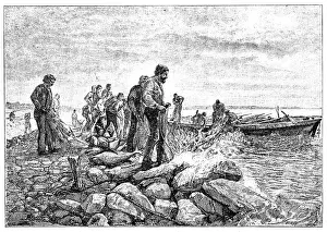 Aquatic Mammal Prints: Tuna fishing