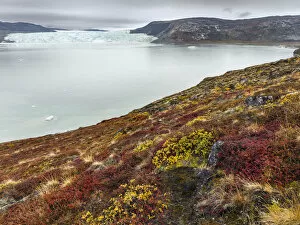 Images Dated 31st August 2017: Tundra landscape with Glacier Eqip (Eqip Sermia), Oqaatsut, Avannaata, Greenland, Denmark