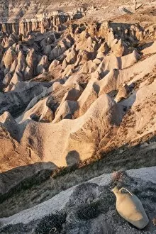 Images Dated 5th November 2014: Turkey, Cappadocia, Love Valley, Landscape with rock formations