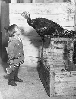Cage Prints: Turkey Trouble