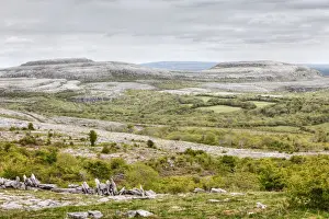 Turloughmore mountain, Burren, County Clare, Ireland, Europe