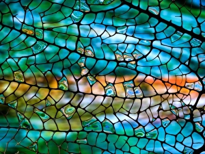 Turquoise Colored Collection: Turquoise Coral abstract