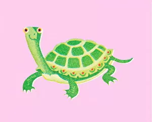 Images Dated 3rd October 2012: Turtle