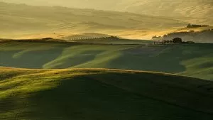 Images Dated 10th June 2014: Tuscan Fields